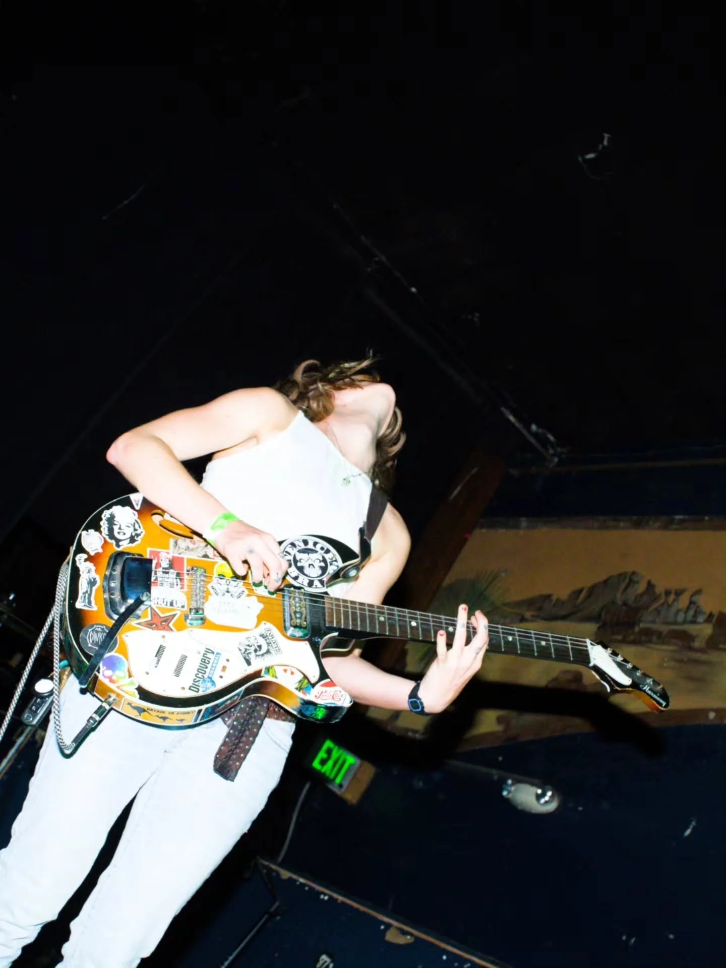 Mr. Dinkles live — concert photograph 5