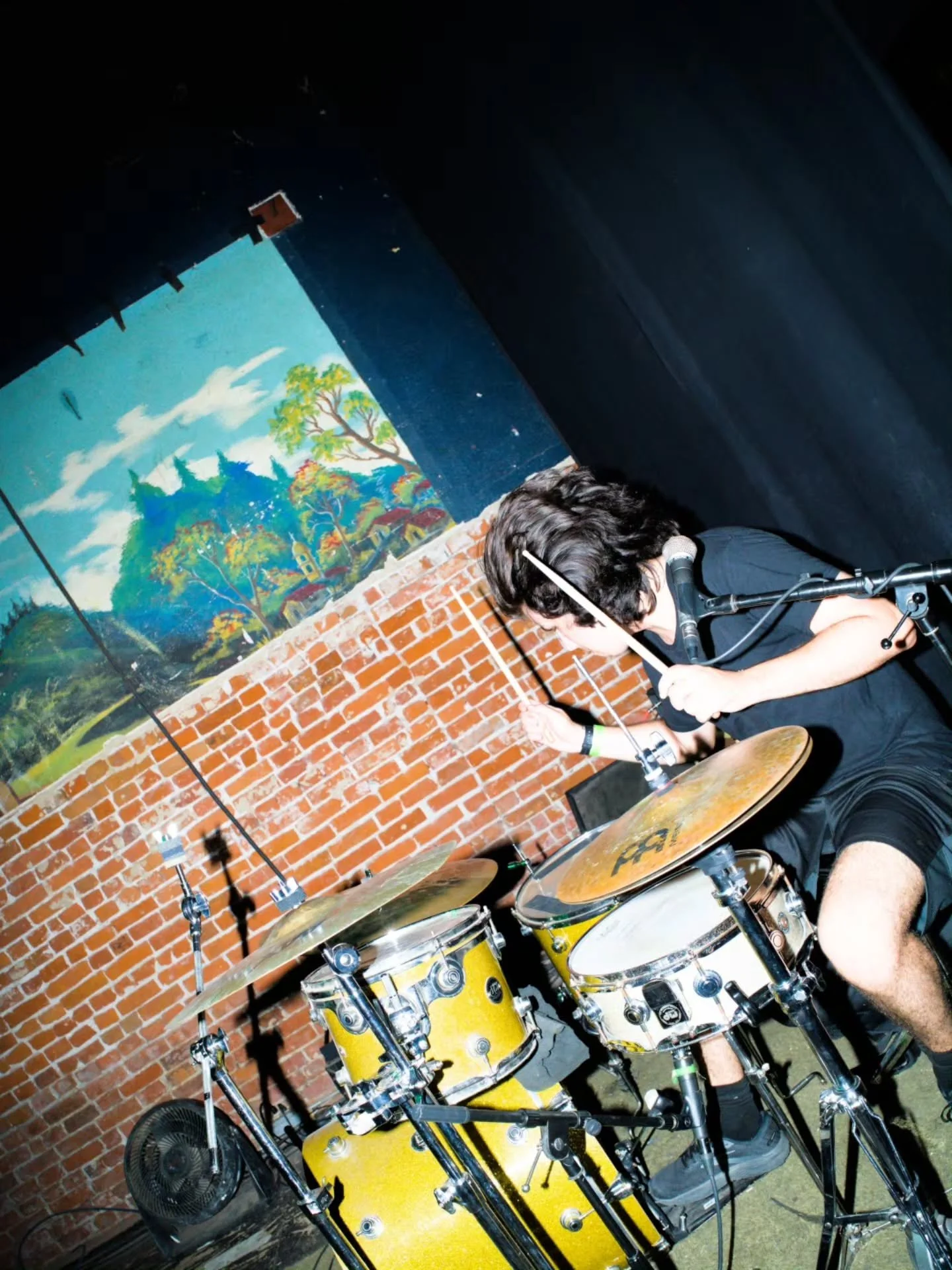 Mr. Dinkles live — concert photograph 3