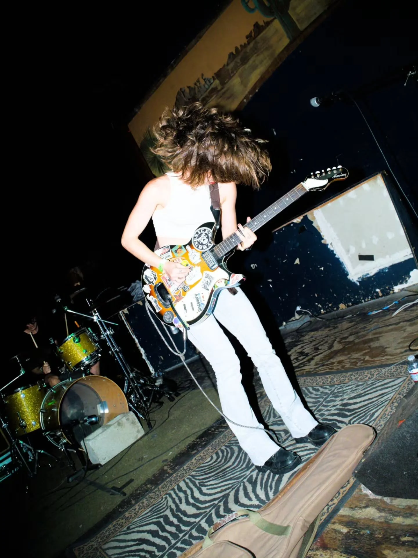 Mr. Dinkles live — concert photograph 4